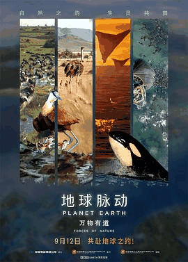 第一电影网_《地球脉动：万物有道》电影海报在线看